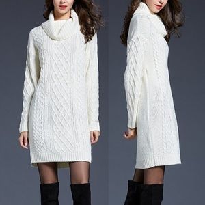 NWT Coeur de Vague cowl turtleneck sweater dress